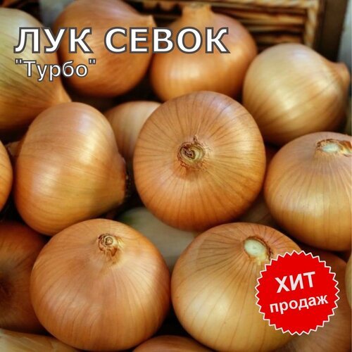 Лук севок на посадку 'Турбо' 900 гр