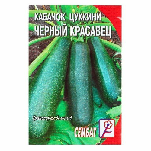 Семена Кабачок цуккини 'Черный красавец', 2 г (комплект из 100 шт)