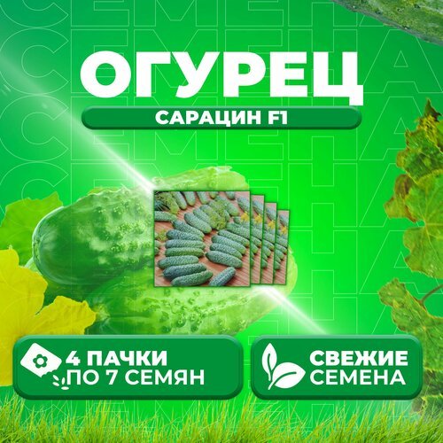 Огурец Сарацин F1, 7шт, Vita Green Экстра, Yuksel Tohum (4 уп)