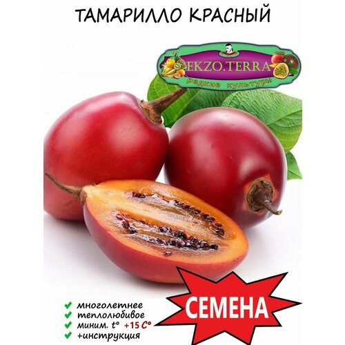 Семена 'Тамарилло' красное (Цифомандра, Томатное дерево) 10 шт.