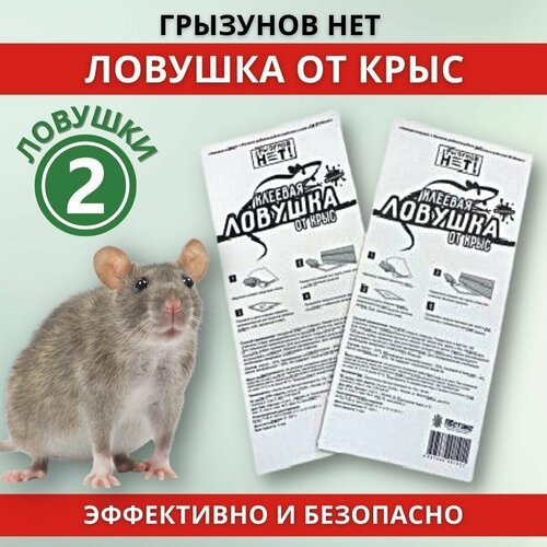 Грызунов нет ловушка от крыс (Mr. Mouse), упаковка 2 шт.