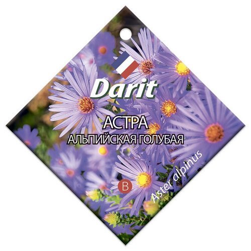 Семена Darit 'Астра Альпийская голубая М', 05637, 0,1 г