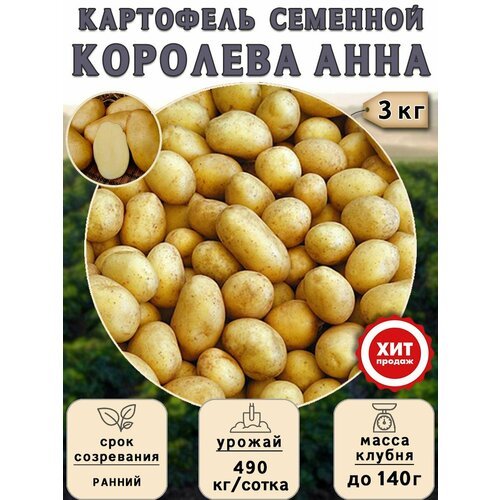 Клубни картофеля на посадку, Королева Анна, (суперэлита) 3 кг Ранний