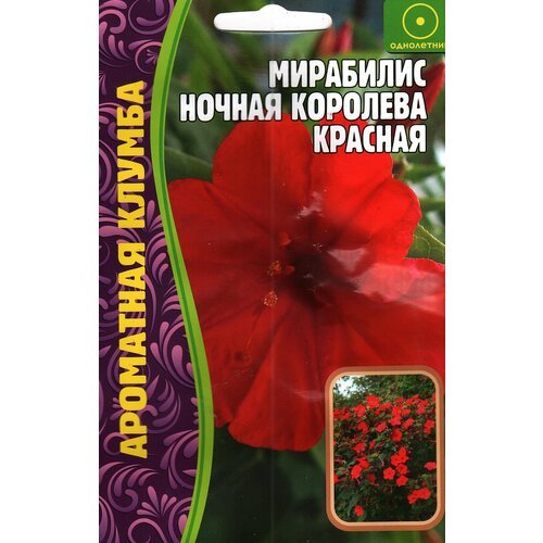 Мирабилис Ночная королева Красная, многолетник ( 1 уп: 14 семян )