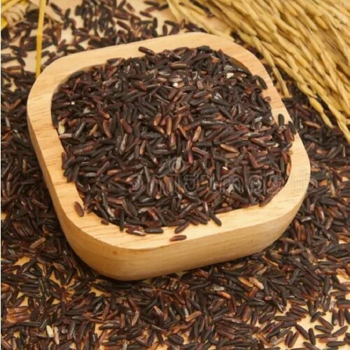 Семена Орешка Черный жасминный рис Нонг Кхай 62, Nong Khai 62 (200 шт)