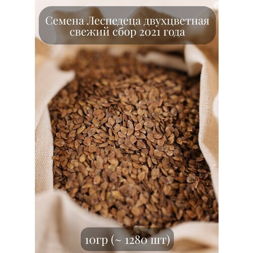 Семена Леспедецы двуцветной, 10 грамм (примерно 1280 шт)