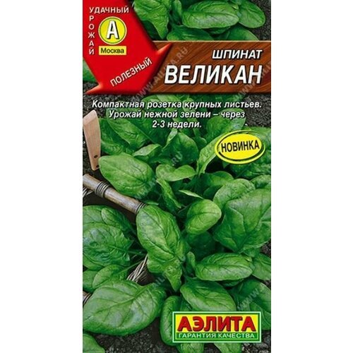 Семена Шпинат Великан (раннеспелый) (Аэлита) 3г