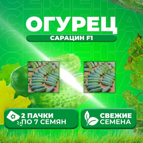 Огурец Сарацин F1, 7шт, Vita Green Экстра, Yuksel Tohum (2 уп)