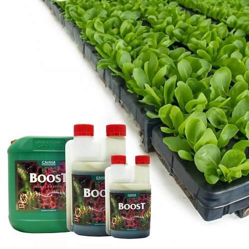 Удобрение CANNA Boost, 1 л