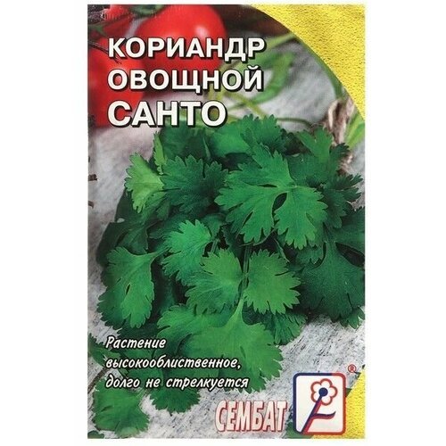 Семена Кориандр овощной 'Санто', 3 г (10 шт)