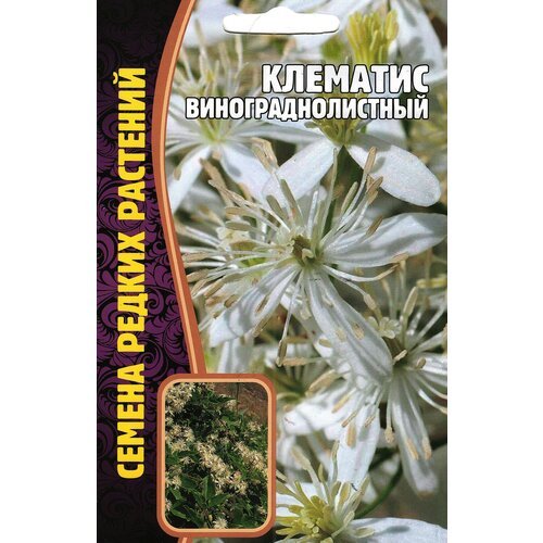 Клематис Винограднолистный, семена ( 1 уп: 7 семян )