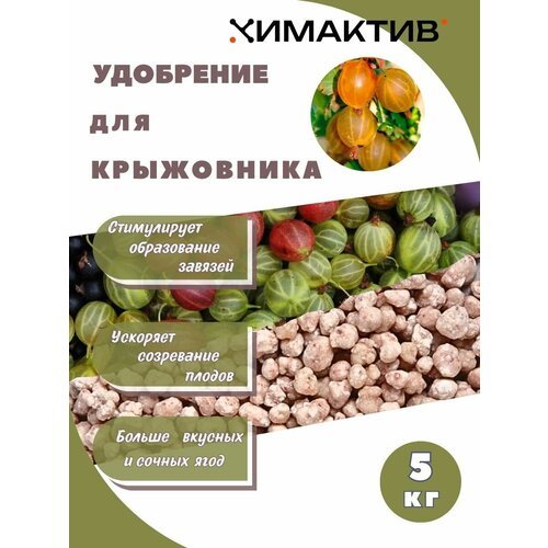 Удобрение для крыжовника 5кг Химактив А