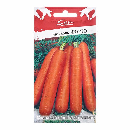 Семена Морковь 'Форто', ц/п, 2 г. (комплект из 56 шт)