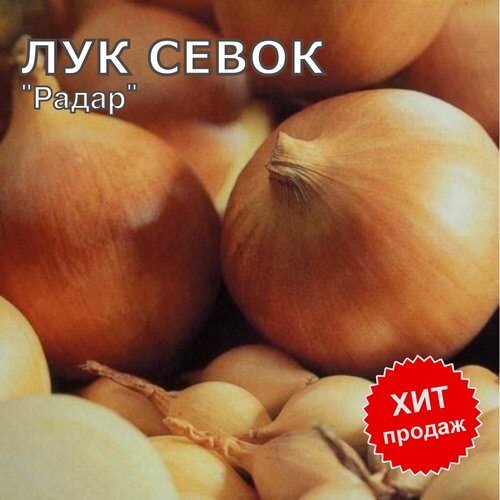 Лук севок на посадку 'Радар' 1 кг