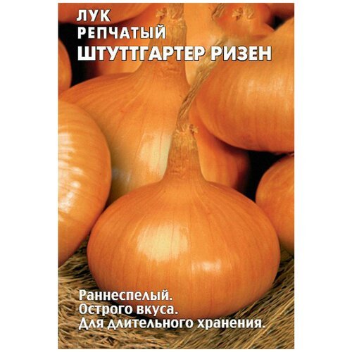 Лук Репчатый штуттгартер ризен