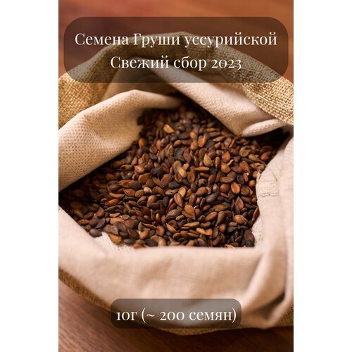 Семена декоративной Груши уссурийской, морозостойкой, 10 грамм (примерно 200 шт)