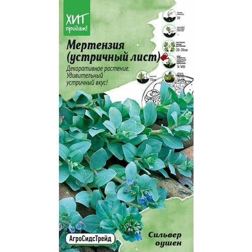 Семена цветов Агросидстрейд мертензия Сильвер Оушен 5 шт.