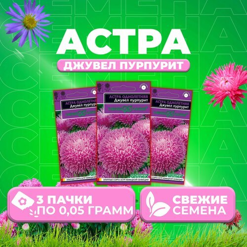 Астра Джувел Пурпурит, игольчато-коготковая, 0,05г, Гавриш, Satimex (3 уп)