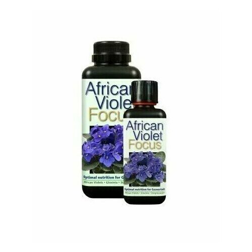 GT African Violet Focus для фиалок 100мл