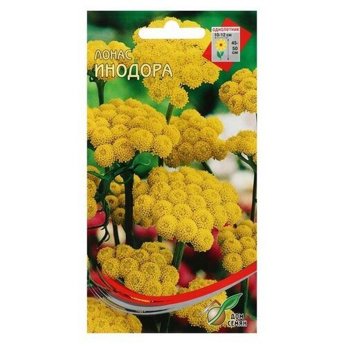 Семена цветов Лонас 'Инодора', 140 шт (5 шт)