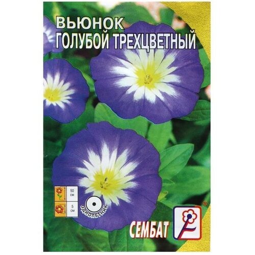 Семена цветов Вьюнок голубой трехцветный 0,5 г