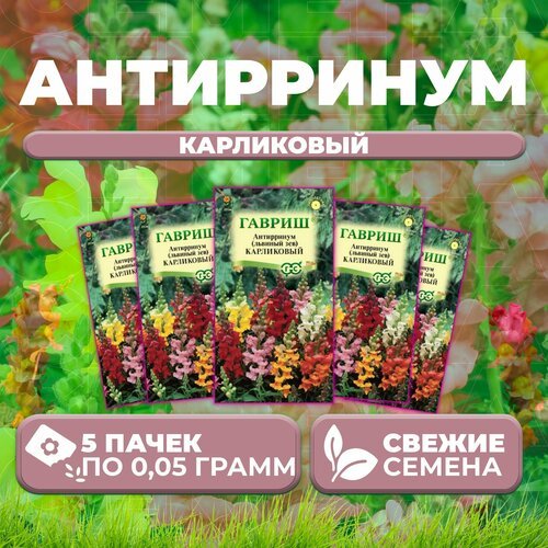 Антирринум (Львиный зев) карликовый, смесь, 0,05г, Гавриш, Цветочная коллекция (5 уп)