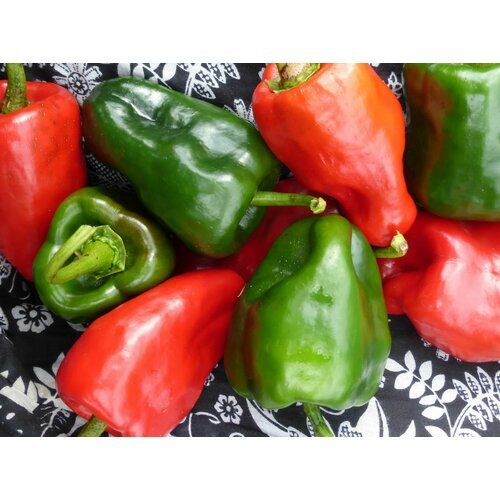 Перец слабоострый San Luis Poblano (лат. Capsicum annuum) семена 5шт + подарочные семена