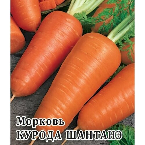 Семена Морковь Курода Шантанэ, 25г, Гавриш, Фермерское подворье, 2 пакетика