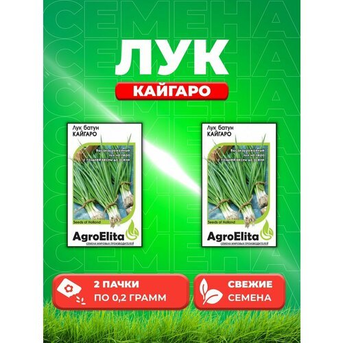 Лук батун Кайгаро, 0,2г, AgroElita, Enza Zaden (2уп)