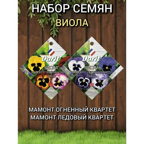 Набор семян цветов Darit, Виола ( анютины глазки ) Мамонт F1: огненный и ледяной квартет.