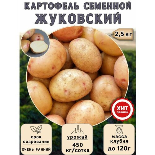 Клубни картофеля на посадку, Жуковский, (суперэлита) 2,5 кг Очень ранний