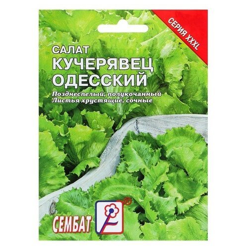 Семена ХХХL Салат Кучерявец одесский, 10 г 2 шт