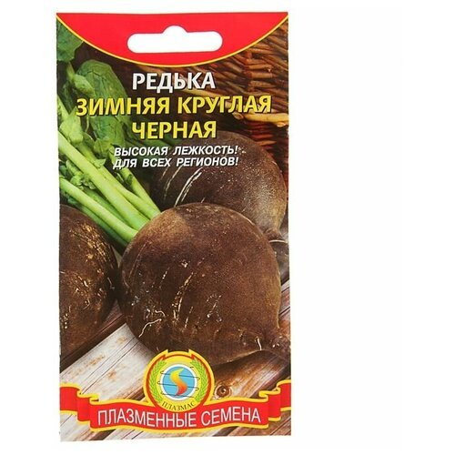 Семена Редька 'Зимняя круглая', 1 г