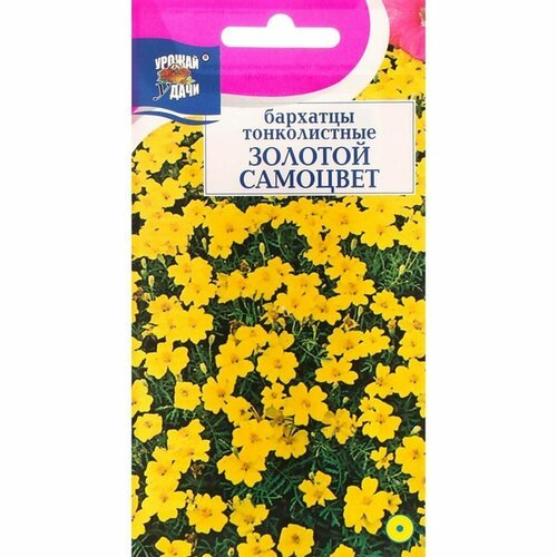Семена цветов Бархатцы тонколистные 'Золотой Самоцвет', 0,1 г, 3 упак.