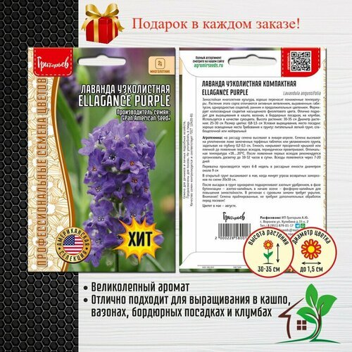 Лаванда узколистная Ellagance Purple (2 упаковки)