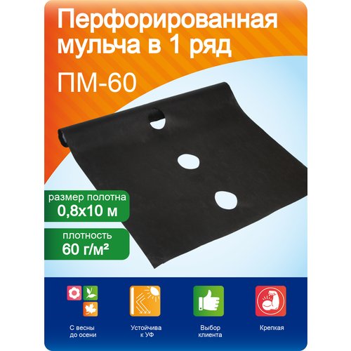 Перфорированная мульча 0,8*10 м, Агротекс (1 ряд, 8*25 см)