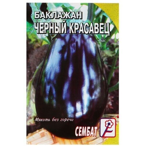 Семена Баклажан Черный Красавец, 0,5 г 22 упаковки