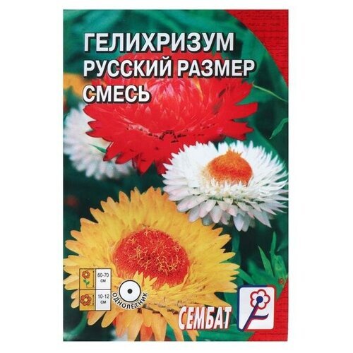 Семена цветов Гелихризум 'Русский размер', 0,1 г
