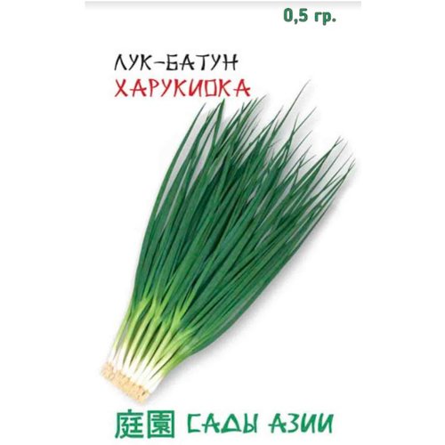 Лук батун Харукиока 0,5 г Сады Азии (2 упаковки в заказе)