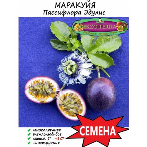 Семена 'Пассифлора Эдулис' (Edulis, маракуйя колумбийская) 15 шт.