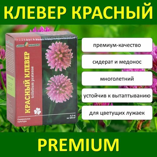 Семена сидерата клевер красный здоровый САД, 0,5 кг (коробка) х 15 шт (7,5 кг)