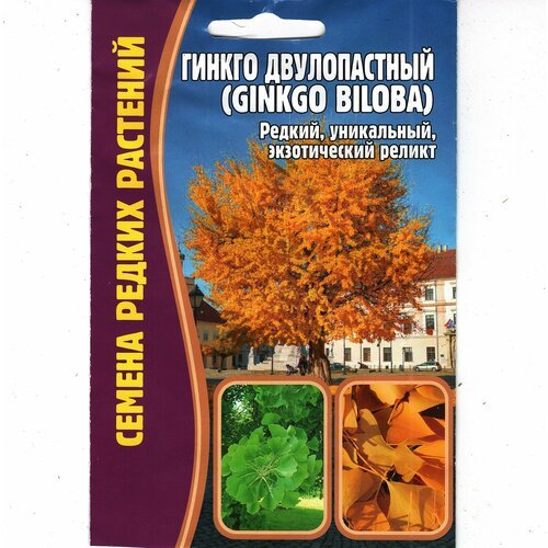 Гинкго двулопастный / Ginkgo biloba, редкий экзотический реликт ( 1 уп: 3 семени )