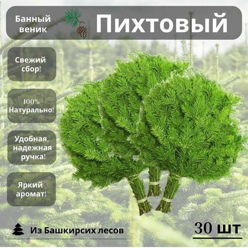 Банный веник пихтовый 30 штук