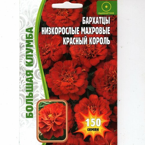 Бархатцы низкорослые махровые красный король ( 1 уп: 150 семян )