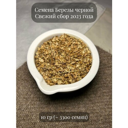 Семена декоративной Березы черной, 10 гpамм (примерно 3300 шт)