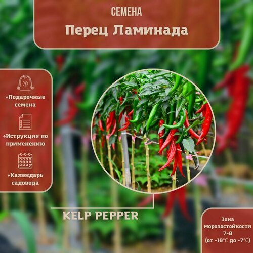 Семена Перец острый 'Ламинада' (Capsicum annuum) 30шт Комплект х2 распродажа! + подарок