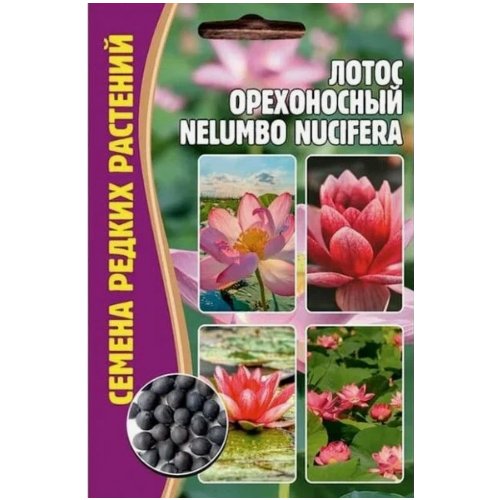 Лотос орехоносный Nelumbo nucifera ( 1 уп: 2 семени )