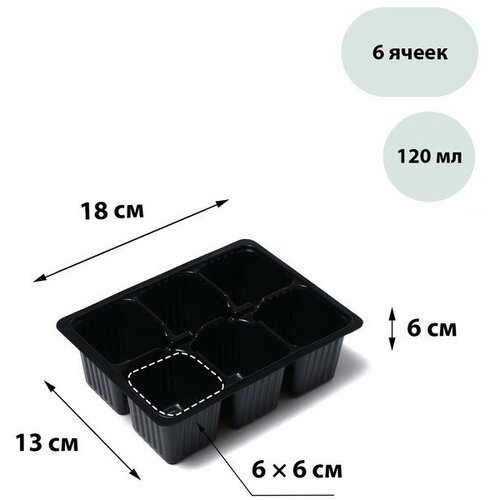 Кассета для рассады Greengo на 6 ячеек, по 120 мл, пластиковая, чёрная, 18 × 13 × 6 см, в наборе 10 шт.