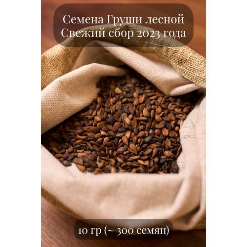 Семена Груши лесной или дикой, 10 грамм (примерно 310 шт)