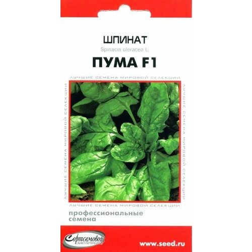 Шпинат 'Пума' F1 Дом Семян 22529